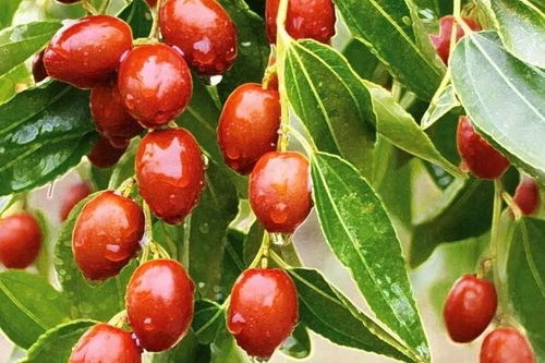 河北,你最牛逼的家鄉(xiāng)