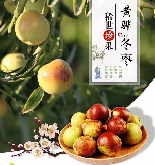 萬(wàn)德隆黃驊冬棗 只為您更好的享受健康品質(zhì)生活